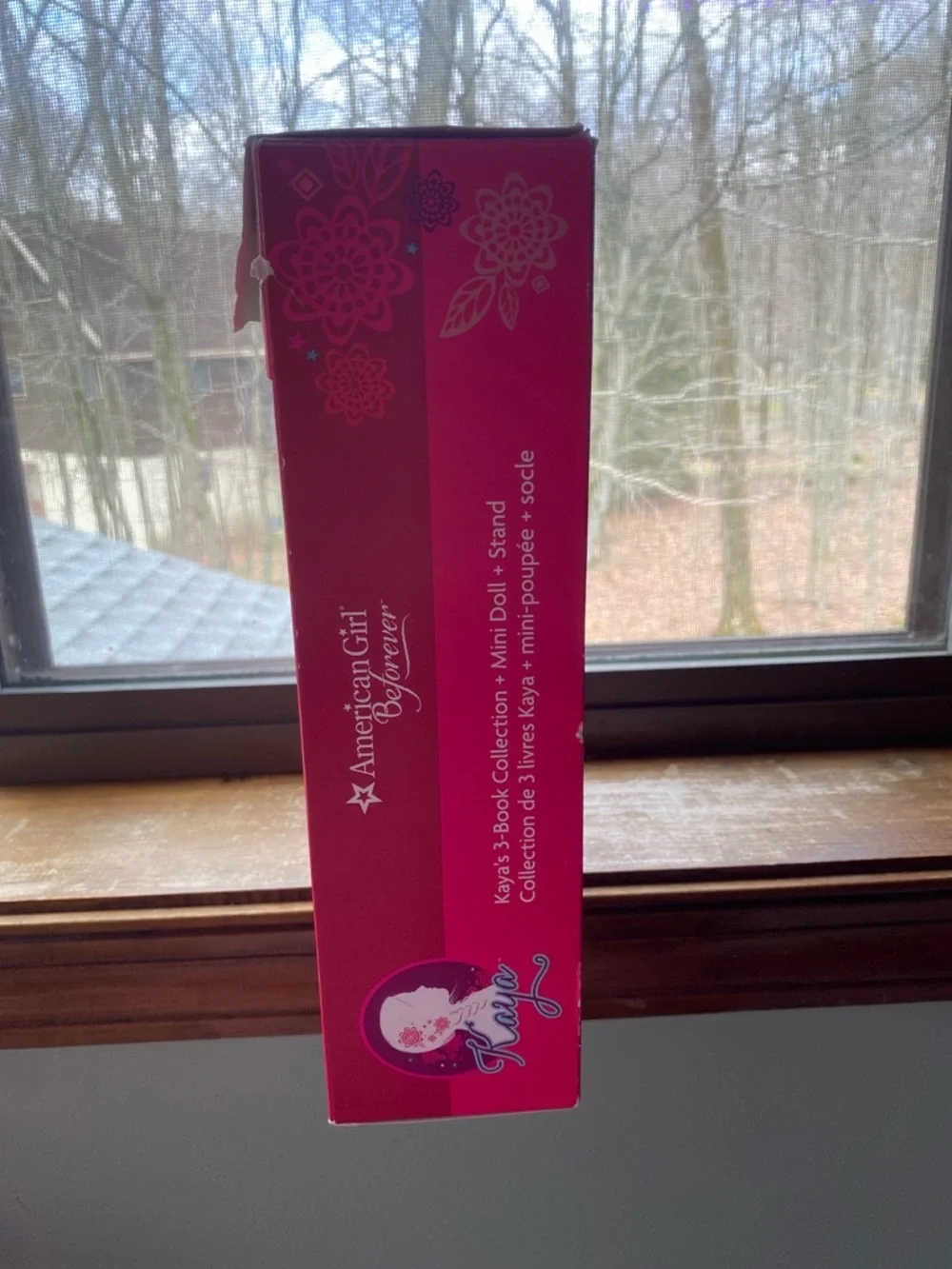 American Girl Beforever Box with Bright Pink Design (has been opened)